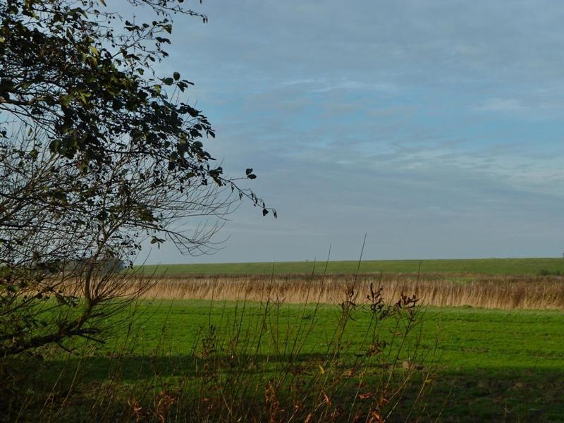 Vila Deichbrise Greetsiel Exteriér fotografie